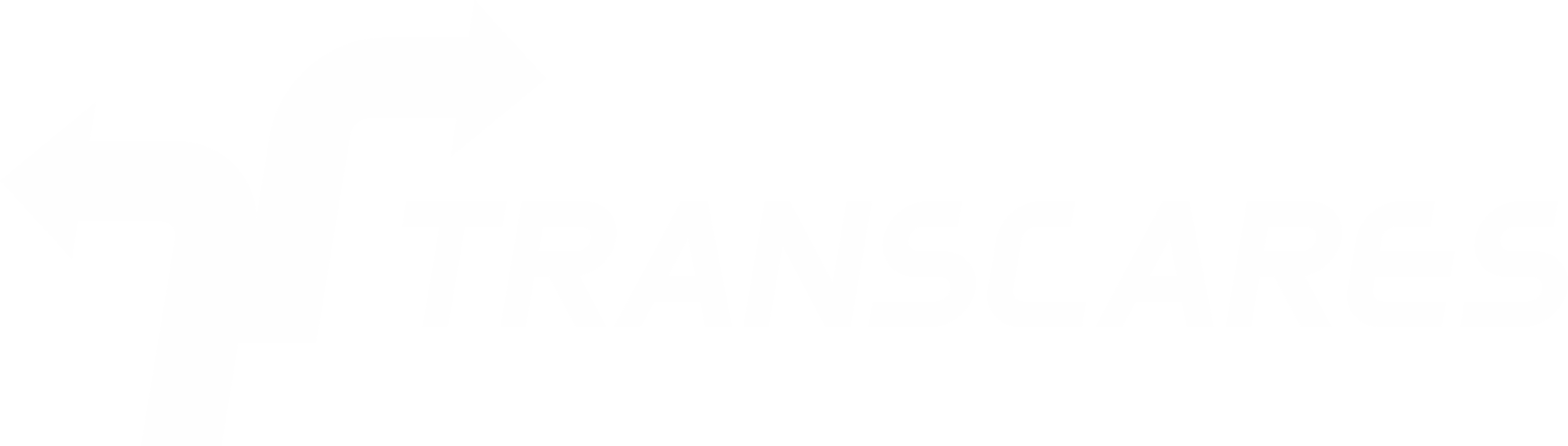 Logo TRANSCARES na cor cinza